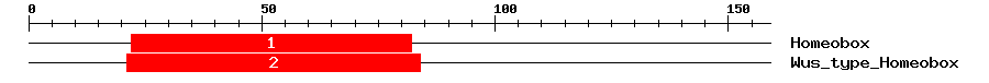 Signature Domain