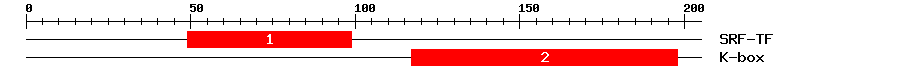 Signature Domain