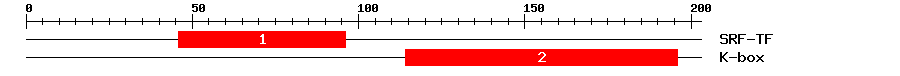 Signature Domain
