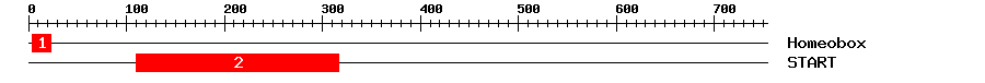 Signature Domain