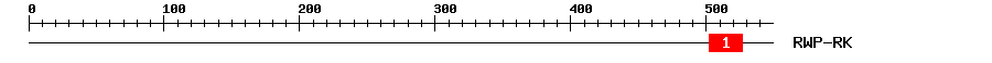 Signature Domain