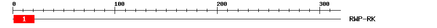 Signature Domain