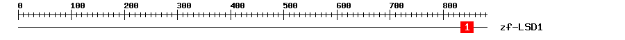 Signature Domain