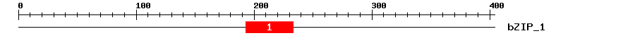 Signature Domain