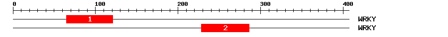 Signature Domain