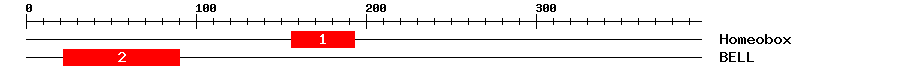 Signature Domain