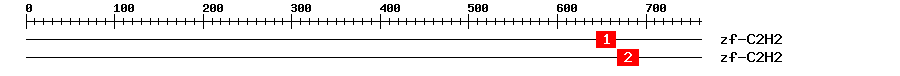 Signature Domain