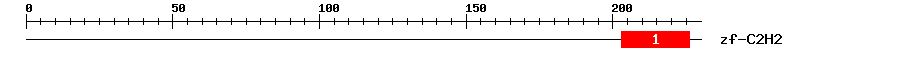 Signature Domain