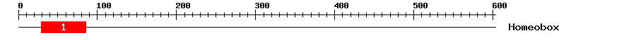Signature Domain