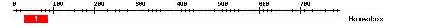 Signature Domain