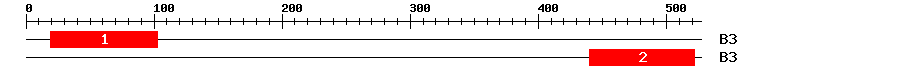 Signature Domain