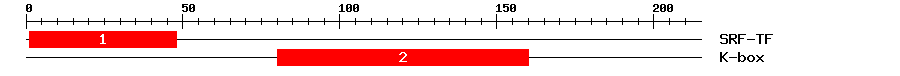Signature Domain