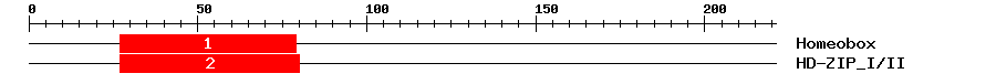 Signature Domain