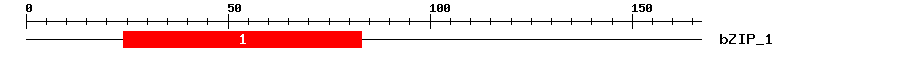 Signature Domain