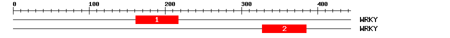 Signature Domain