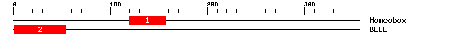 Signature Domain
