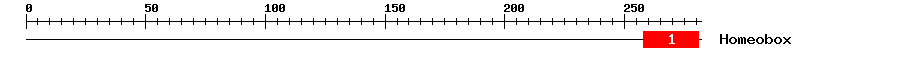 Signature Domain
