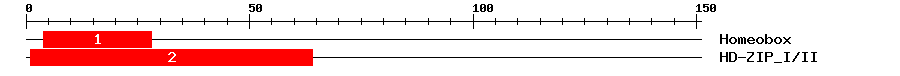 Signature Domain
