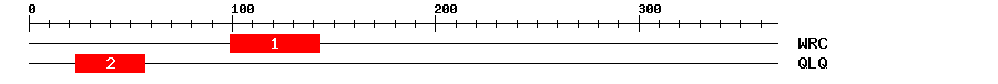 Signature Domain