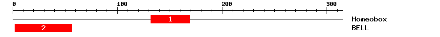 Signature Domain