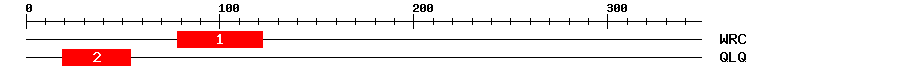 Signature Domain