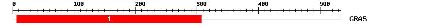 Signature Domain