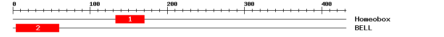 Signature Domain