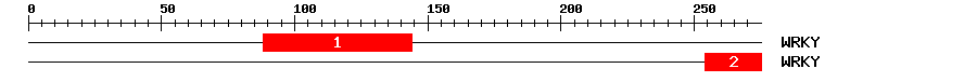 Signature Domain
