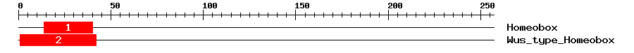 Signature Domain
