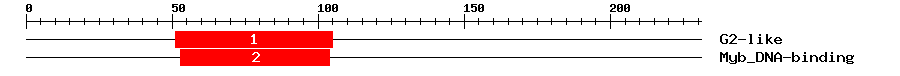 Signature Domain