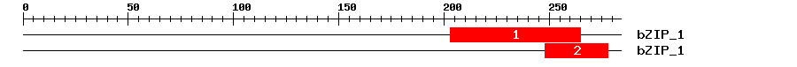 Signature Domain