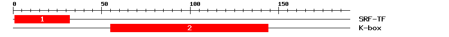 Signature Domain