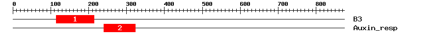 Signature Domain