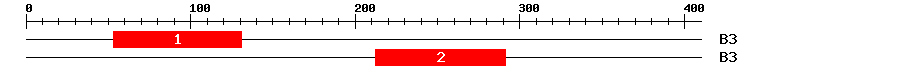 Signature Domain