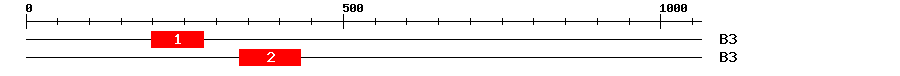 Signature Domain