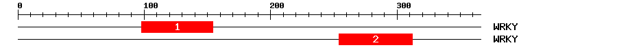 Signature Domain