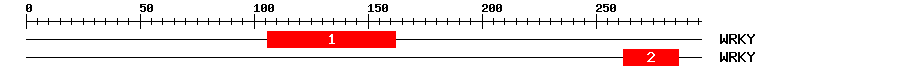 Signature Domain