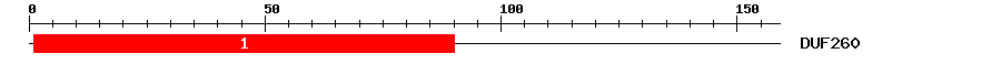 Signature Domain