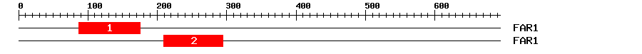 Signature Domain