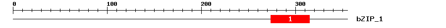 Signature Domain