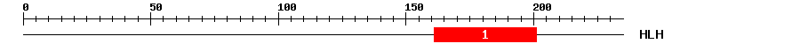 Signature Domain