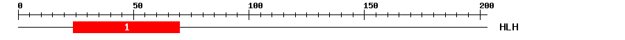 Signature Domain