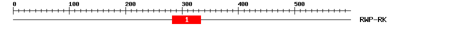 Signature Domain