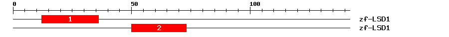 Signature Domain