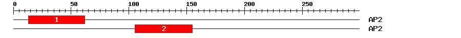 Signature Domain
