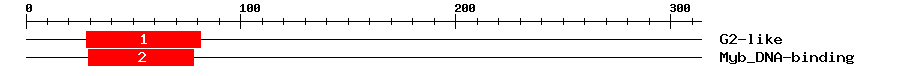 Signature Domain