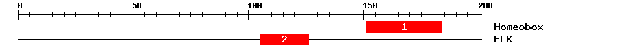 Signature Domain