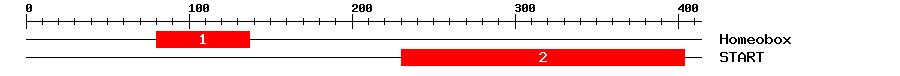 Signature Domain
