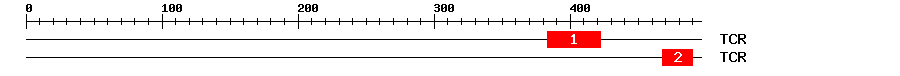 Signature Domain