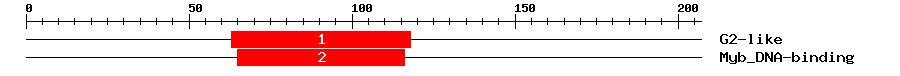 Signature Domain